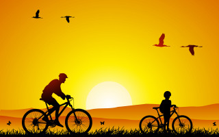 Biking sunset birds child silhouette - a child free wallpaper for desktop
