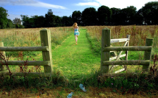 Woman field gate bench bird - digital photography free wallpaper