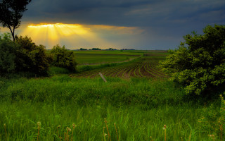 Sunbeam grass fence trees mountain - crepuscular free wallpaper for desktop