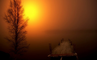Dock tree fog lake sunset - a yellow sky free wallpaper for desktop