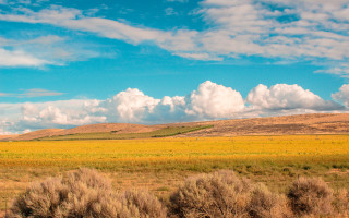 Field clouds horse sunset gradient - free landscape wallpaper