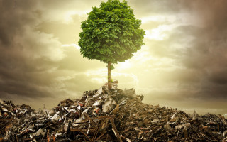 Tree trash field cloudy sky - environmental art free wallpaper for desktop