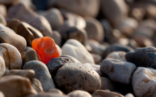 Orange toy rocks gravel macro - fiona stephenson free wallpaper for desktop