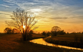 Sunset river tree autumn matte - a sunset over a river free wallpaper