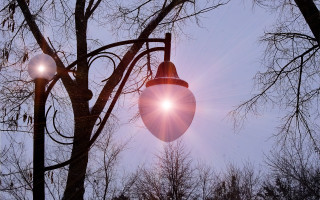 Streetlight tree sunshine autumn leaves - free light wallpaper for desktop