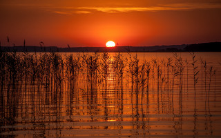 Sunset water reeds island moon - a sunset over a body of water free wallpaper