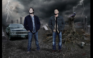 Two men car tree bird - dean roger free wallpaper
