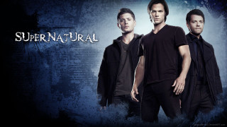 Men group blue background supernatural - carles delclaux i free wallpaper for desktop