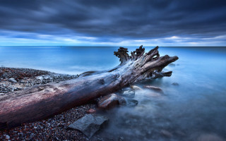 Beach night abstract sculpture award - a log free wallpaper