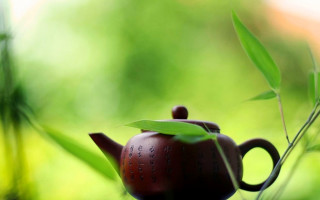 Teapot bamboo grass tranquil stilllife - a teapot free wallpaper