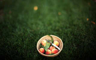 Bowl fruit knife fork grass - a bowl of fruit free wallpaper for desktop