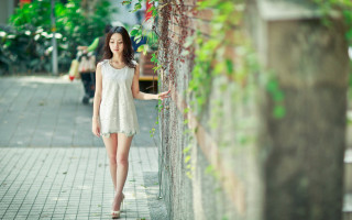 Woman brick wall green plant - chen lu free wallpaper