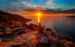 Sunset water tree cliff magic - arthur b. carles free wallpaper