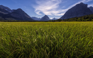 Grass mountains sky clouds nature - douglas robertson bisset free wallpaper