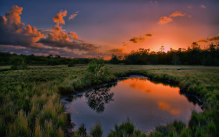 Sunset pond field trees clouds - tall free wallpaper