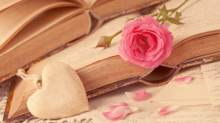 Book rose bookmark petals flower - a bookmark free wallpaper
