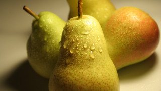 Three pears water droplets white - photorealistic imagery free wallpaper