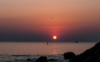 Surfing sunset ocean bird boat - a surfboard in the ocean free wallpaper