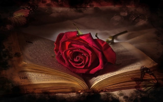 Rose butterfly book gothic flowers - a rose free wallpaper for desktop
