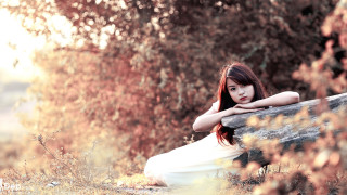 Woman bench field autumn blurry - cheng shifa free wallpaper