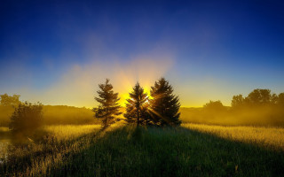 Field trees sunset fog nature - crepuscular free wallpaper for desktop