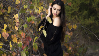 Woman black dress tree leaves 2 - a black sweater free wallpaper