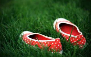 Red shoes grass field blurry - top of a field free wallpaper
