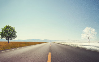 Lone tree road beach sky - free vintage wallpaper