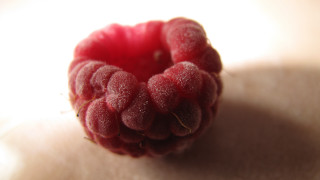 Raspberry shadow arcimboldo berries macro - the table top free wallpaper