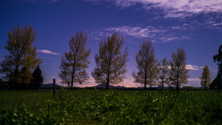 Field fence trees mountain night - bob thompson free wallpaper for desktop