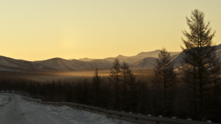 Mountain road fog trees sunset - the ground and trees free wallpaper for desktop