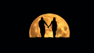 Romantic moonlit night silhouettes grass - two people holding free wallpaper