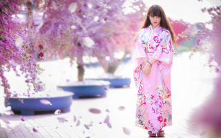 Pink kimono woman falling petals - purple flower free wallpaper for desktop