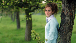 Woman tree field green background - a blue sweater free wallpaper