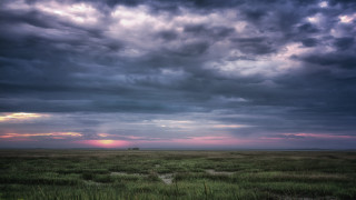 Field sky trees city lights - betye saar free wallpaper for desktop