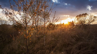 Tree sunset fence clouds autumn - the sun setting behind free wallpaper