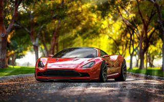 Red sports car autumn nature - tree and grass free wallpaper