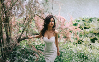 Woman white dress tree flowers - a white dress free wallpaper for desktop