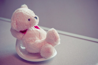 Pink teddy bear table red - leg free wallpaper