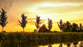Sunset trees water yellow sky - a yellow sky in the background free wallpaper