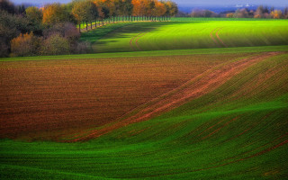 Field trees landscape impressionist fence - landscape free wallpaper