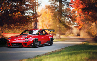 Red sports car autumn leaves 4 - the background and a person free wallpaper for desktop