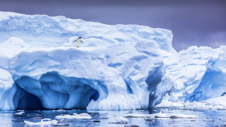 Man iceberg ocean ecological art - a body of water free wallpaper for desktop