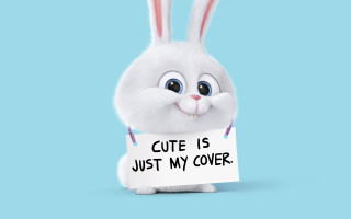 White rabbit cute sign blue - free love wallpaper