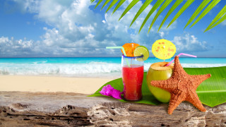 Starfish beach drink palm summer - summer free wallpaper