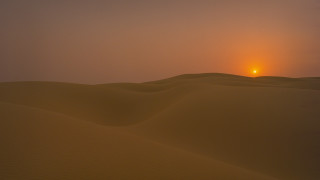 Sunset desert lone bird hazy - hazy free wallpaper