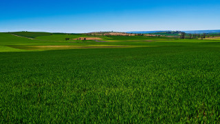 Green field house blue sky - a green field free wallpaper for desktop