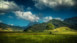 Lone tree mountains clouds meadow - a lone tree in a field free wallpaper for desktop