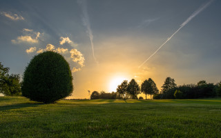 Field tree plane sunset clouds - a sun setting behind free wallpaper