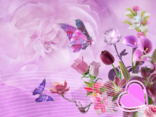 Bouquet butterfly purple background pink - free aesthetic wallpaper
